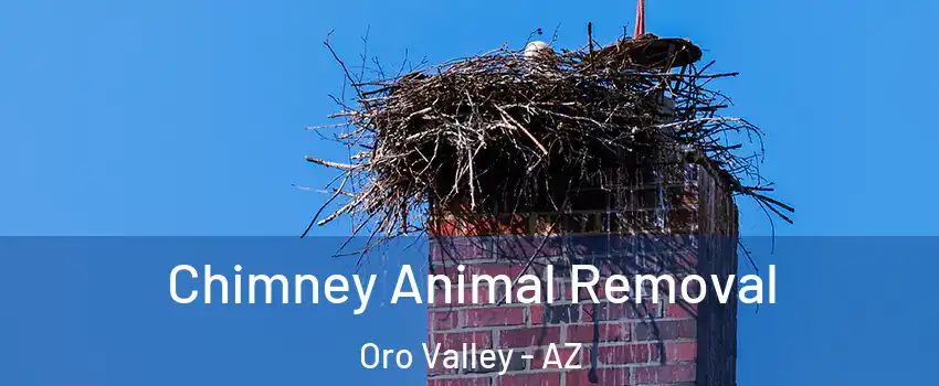  Chimney Animal Removal Oro Valley - AZ