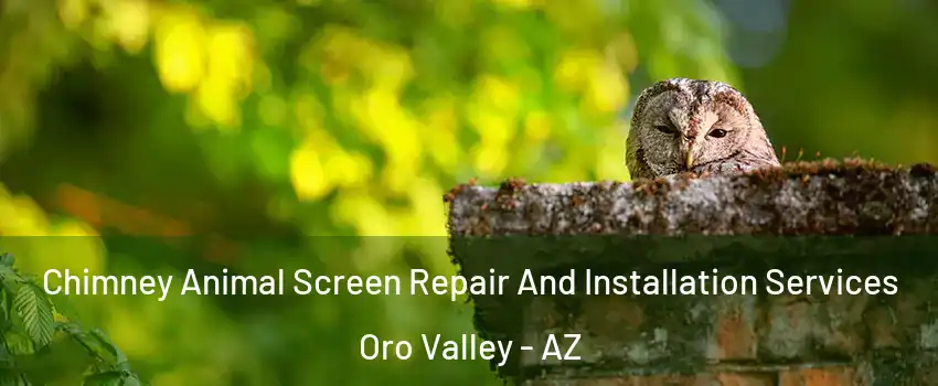  Chimney Animal Screen Repair And Installation Services Oro Valley - AZ