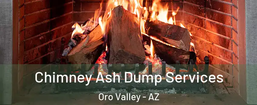  Chimney Ash Dump Services Oro Valley - AZ
