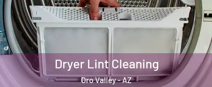  Dryer Lint Cleaning Oro Valley - AZ