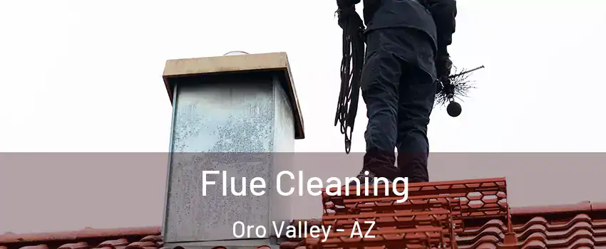  Flue Cleaning Oro Valley - AZ