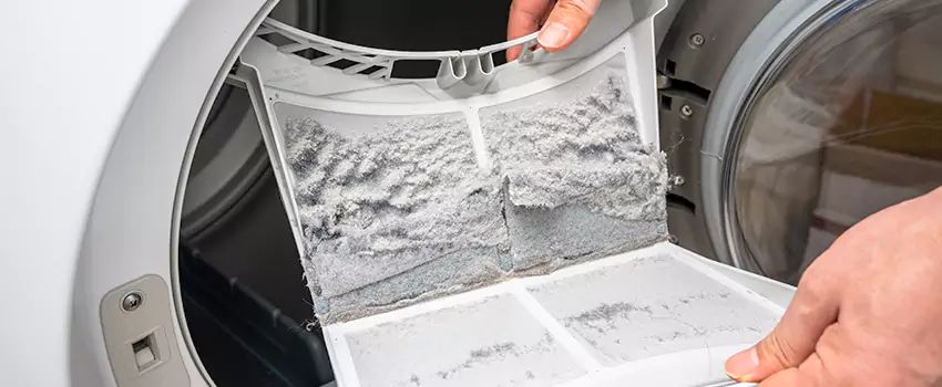 Best Dryer Lint Removal Company in Oro Valley, Arizona