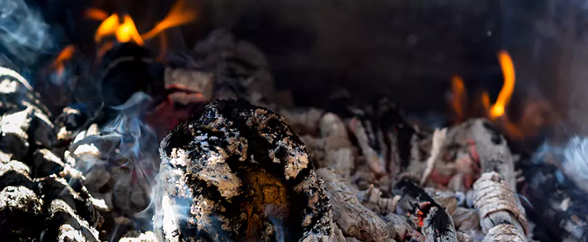 Creosote Removal Experts in Oro Valley, AZ