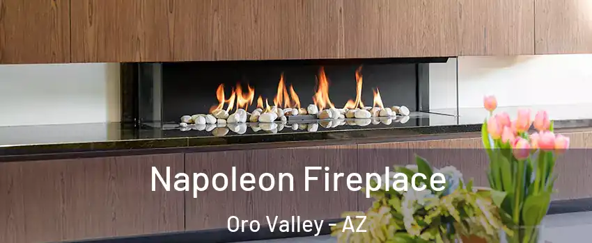  Napoleon Fireplace Oro Valley - AZ